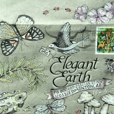 Elegant Earth Envelope Contest